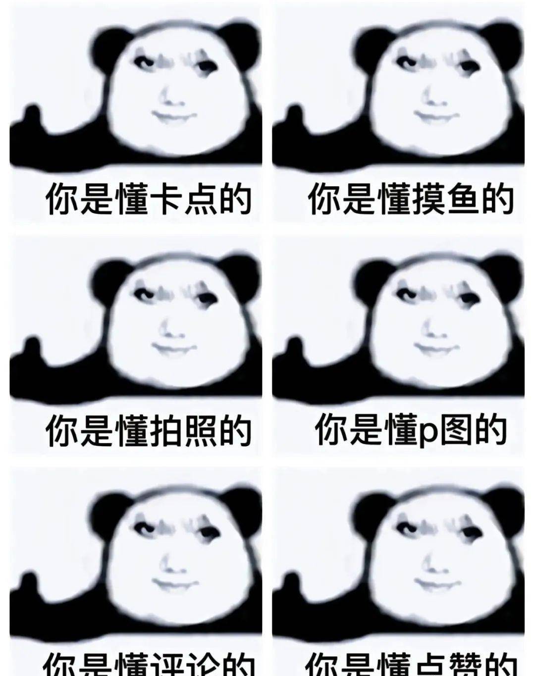 2022网络流行语神盘点，第一个太绝了！(网络语言流行语大全搞笑段子)