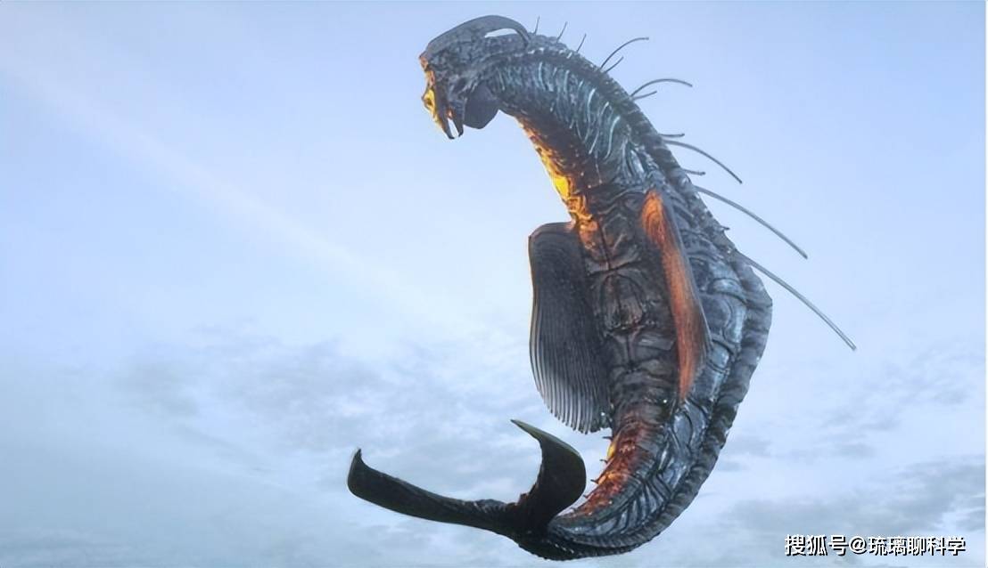 大量研究表明:或许人类想错了,外星人可能也是"人形生物"_生命_形态