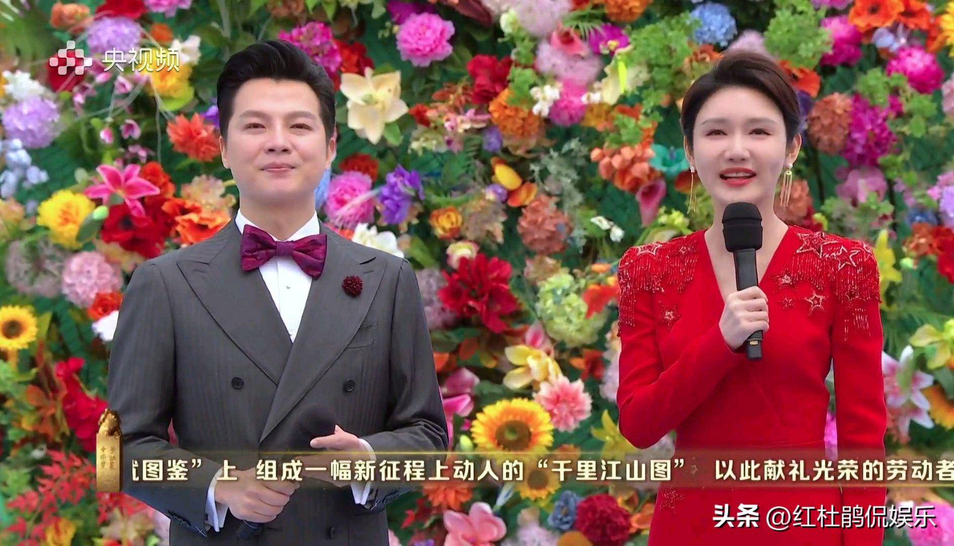 央视五一晚会文艺性降低,主持人作用被弱化,任鲁豫龙洋可有可无_节目
