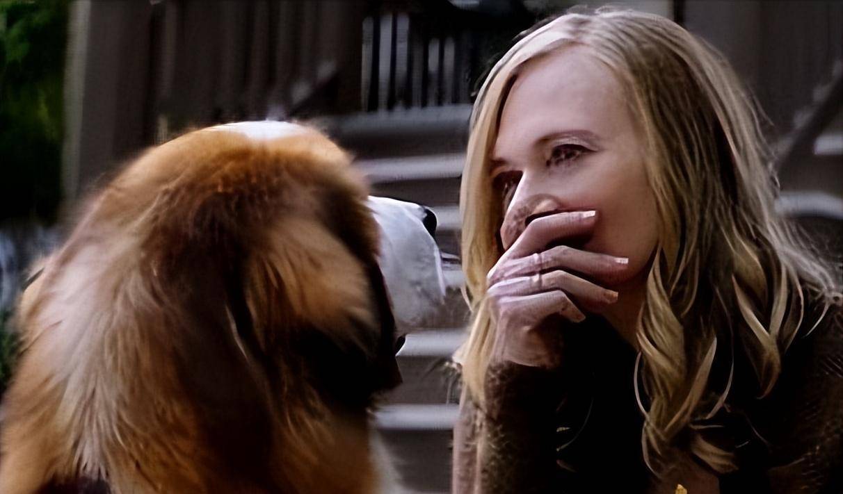 交流视角探析电影《一条狗的使命》的人性与动物性