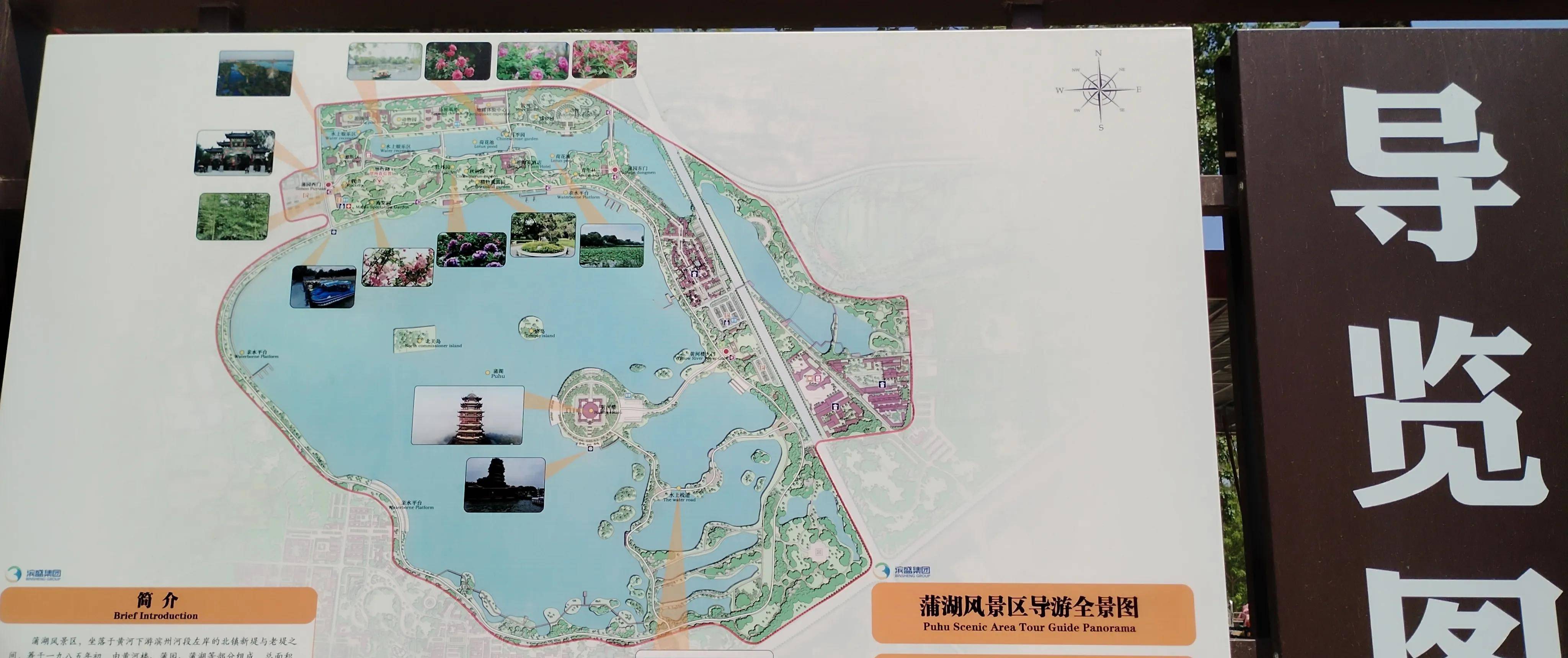 紫气东来-滨州蒲湖风景区-蒲园旅游攻略(滨州蒲湖周边风景区)