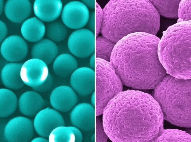 蓝色荧光ps微球 聚苯乙烯微球 单分散聚苯乙烯荧光微球 粒径可定制