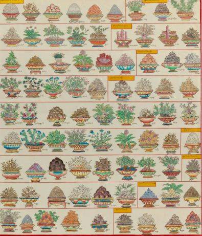 《四部医典》告诉你_药物_分类_乌头