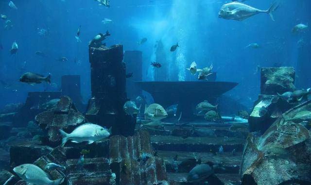 日本海底发现上万年海底宫殿,神奇的远古文明,它是怎么沉没的?