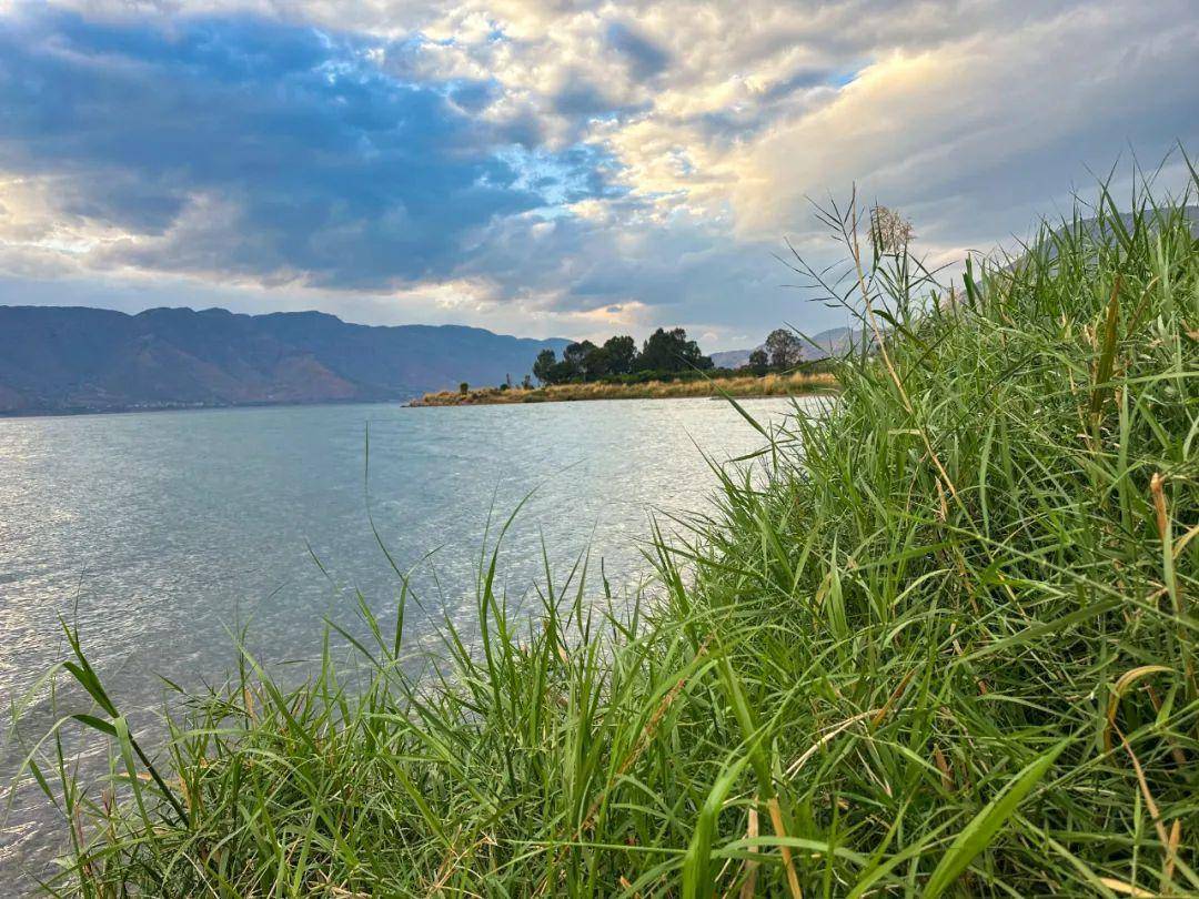 来云南丽江永胜看看美丽的程海湖吧!_翻滚_感觉_场景