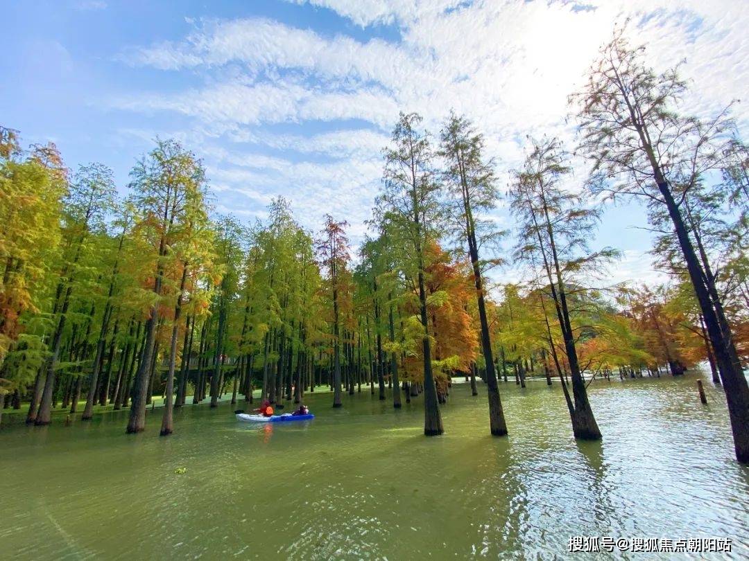 坐一站地鐵去臨安行政服務中心就能解決,還有城市客廳,濱湖天地綜合體