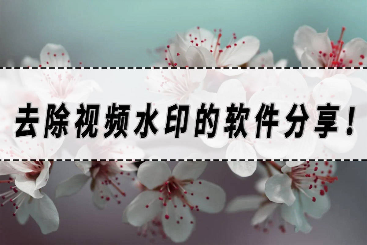 選擇:智能直播助手app智能直播助手app可以通過一些特定的工具和功能