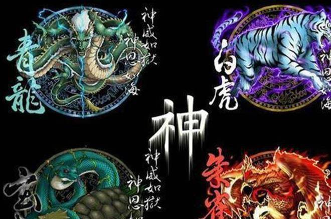 想必很多人都已知晓,就是大名鼎鼎的四大龙其中一员.