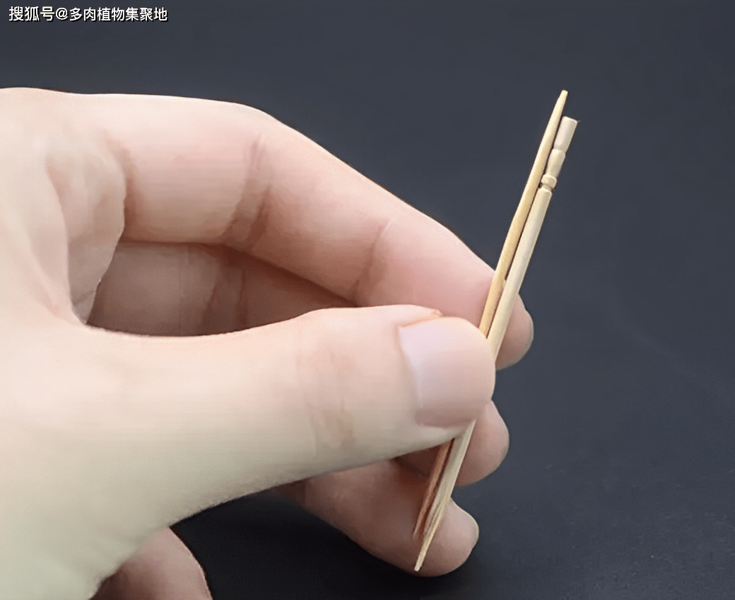 2种破物件，再穷也要扔”，放家里不适合，记得去清理，别忽视_搜狐网