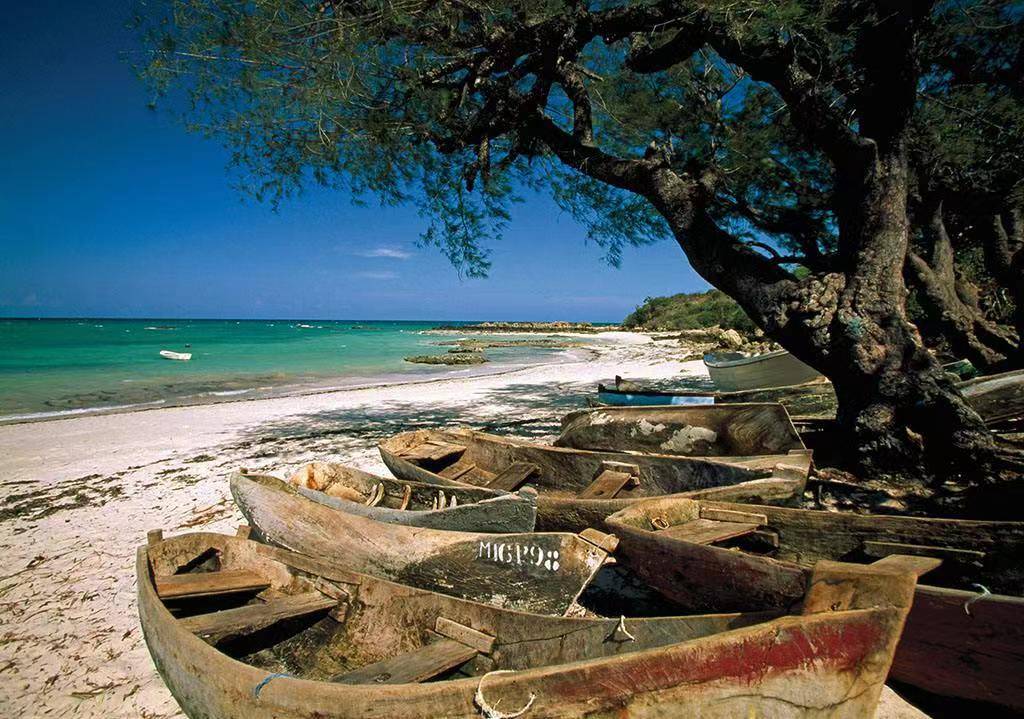 莫桑比克免除旅游和商务签证,国内木材.农业.