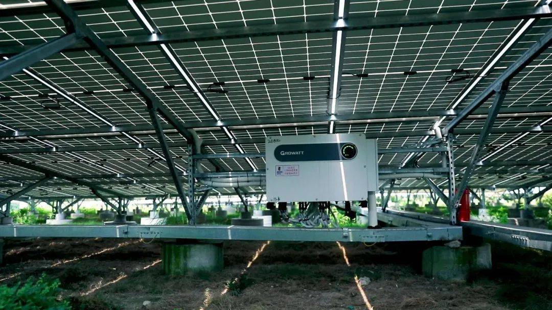 【古瑞瓦特组串式逆变器解决方案】深山林场中的自来水厂电站_海南_光