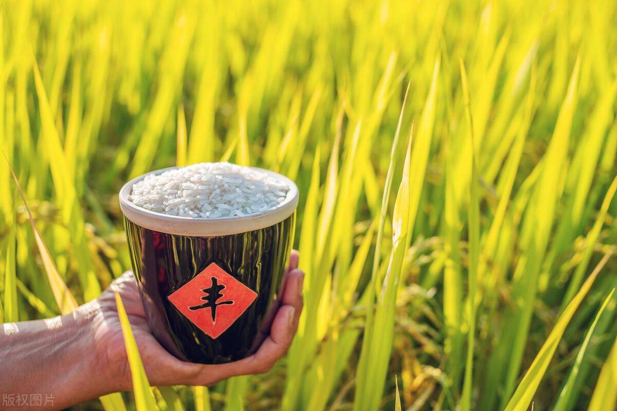 最新！报考粮油保管员证书有用吗？报考资料、考试难度如何？
