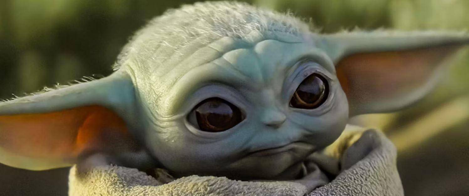 《星球大战》宇宙中最可爱的12种生物
