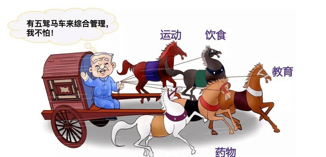 糖尿病不认真控制,五驾马车也救不了你(八)_血糖_治疗_身体