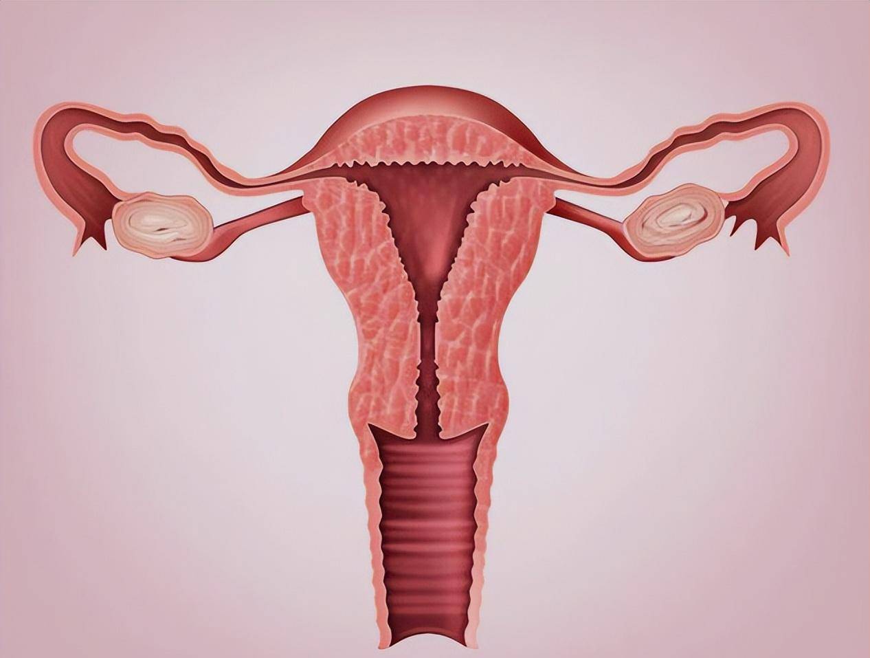 多大年龄子宫会萎缩,子宫萎缩对身体有什么影响?_女性_问题_检查