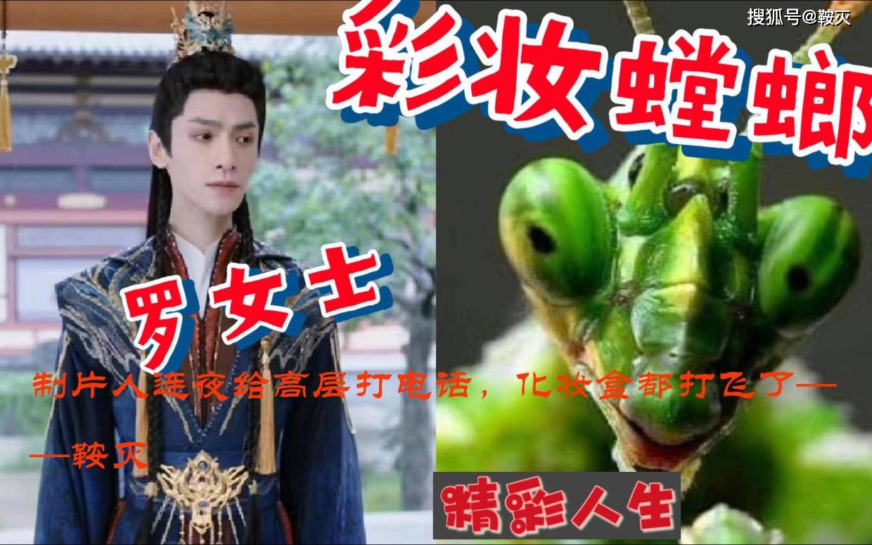 制片人连夜给高层打电话,化妆盒都打飞了_网友_螳螂_什么