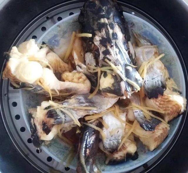 肉质鲜嫩,满满胶原蛋白,一斤才5元,超级实惠_鲶鱼_清水_酱汁