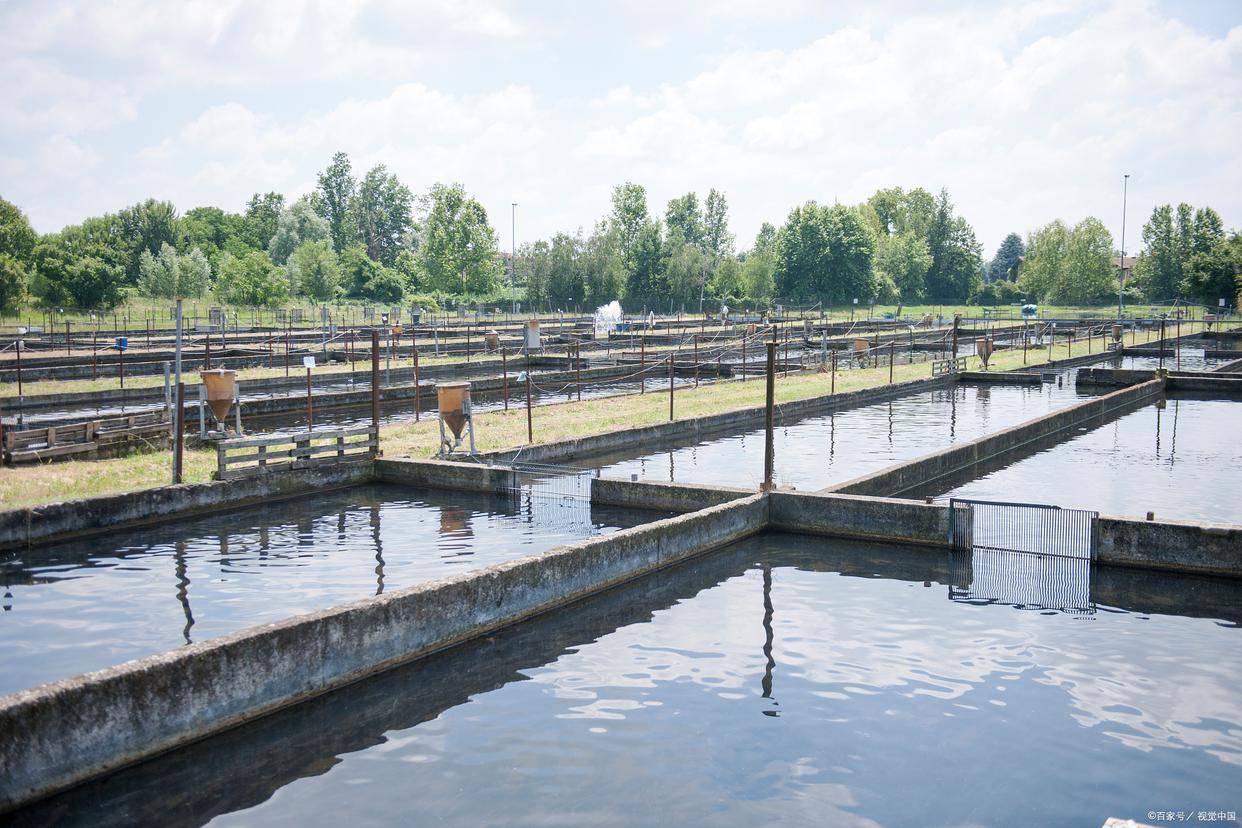 黄河靖远段万亩水产养殖基地建设项目可行性研究报告立项报告