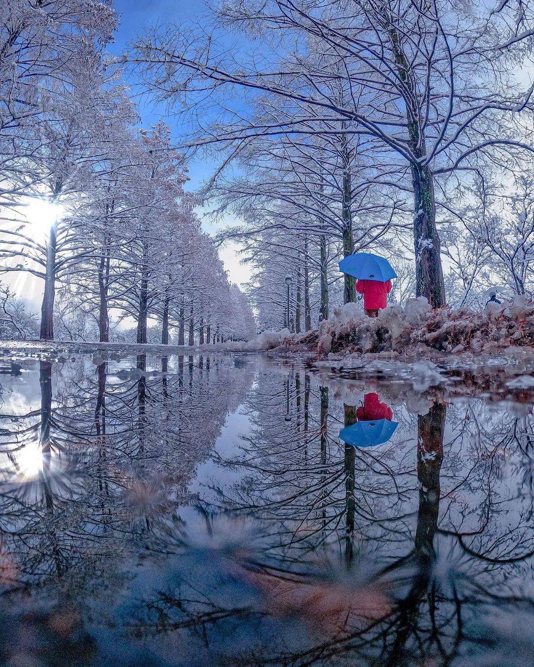 墨言教育摄影技能分享||倒影摄影作品欣赏!_画面_场景_水面