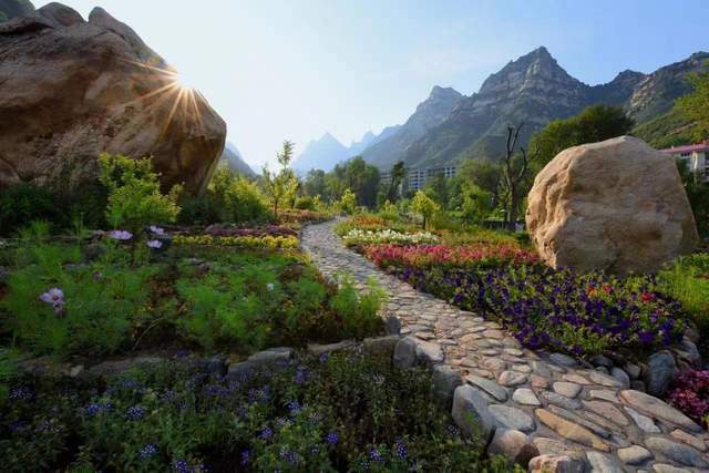 河北灵寿漫山花溪谷带您走进花海氧吧!_景区_生活_美食长廊