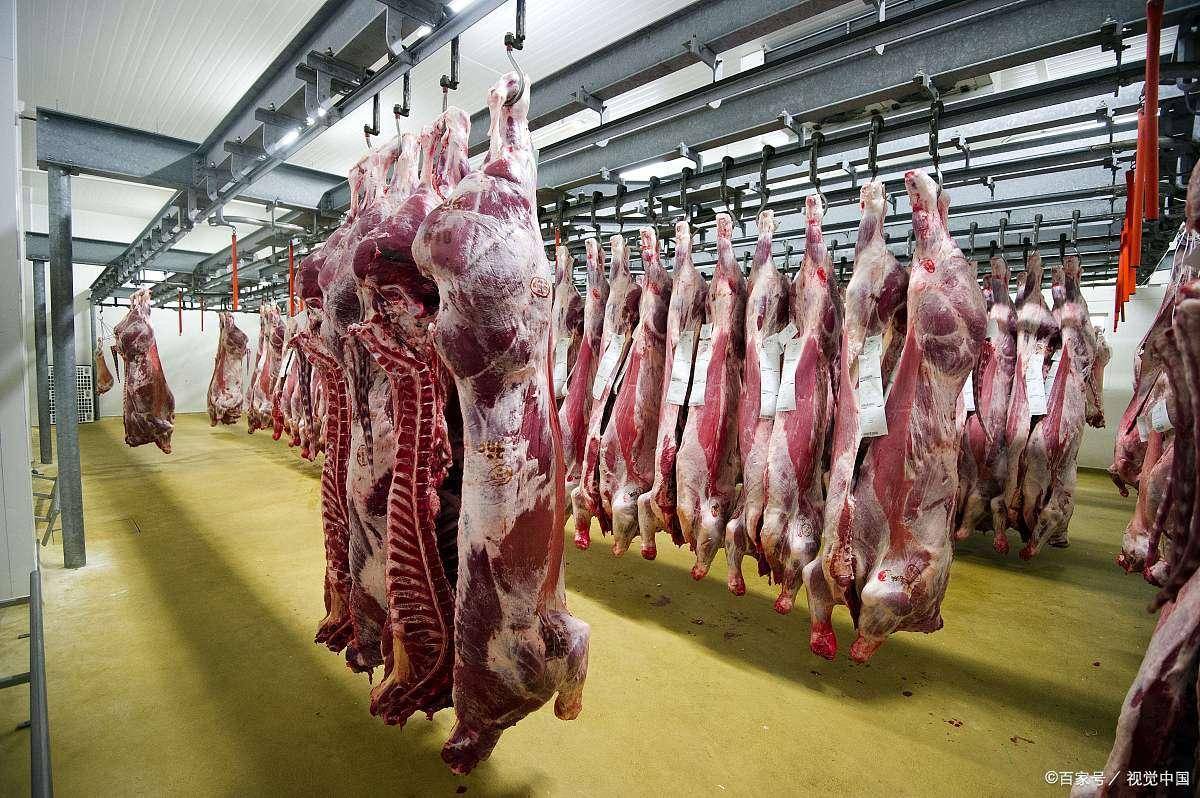 肉牛羊屠宰及深加工项目可行性研究报告立项报告