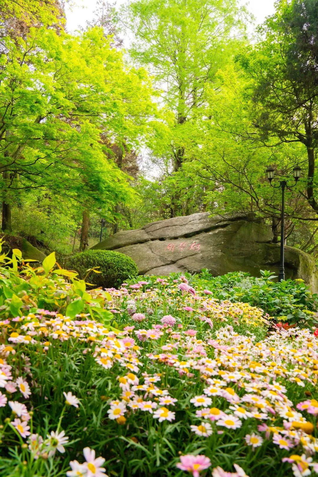 在花径公园里的花径亭,把《大林寺桃花》背诵了一遍