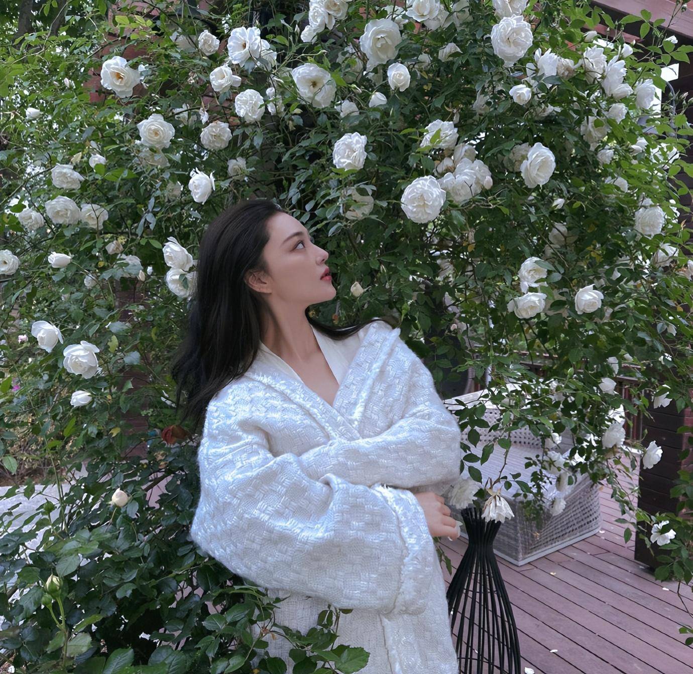 张馨予在自家花园拍照,老公视角下穿睡袍出镜,完美演绎人比花娇_工作