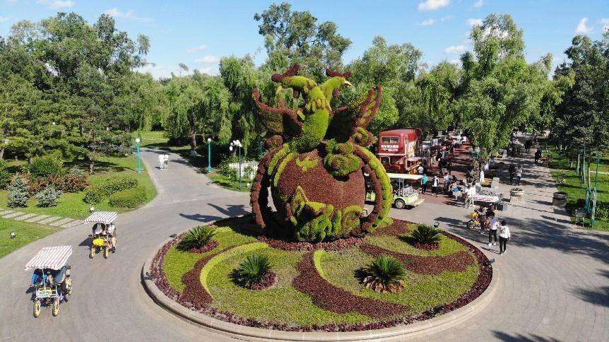 種花植綠進行時 太陽島上繁花似錦_花園_景區_品種