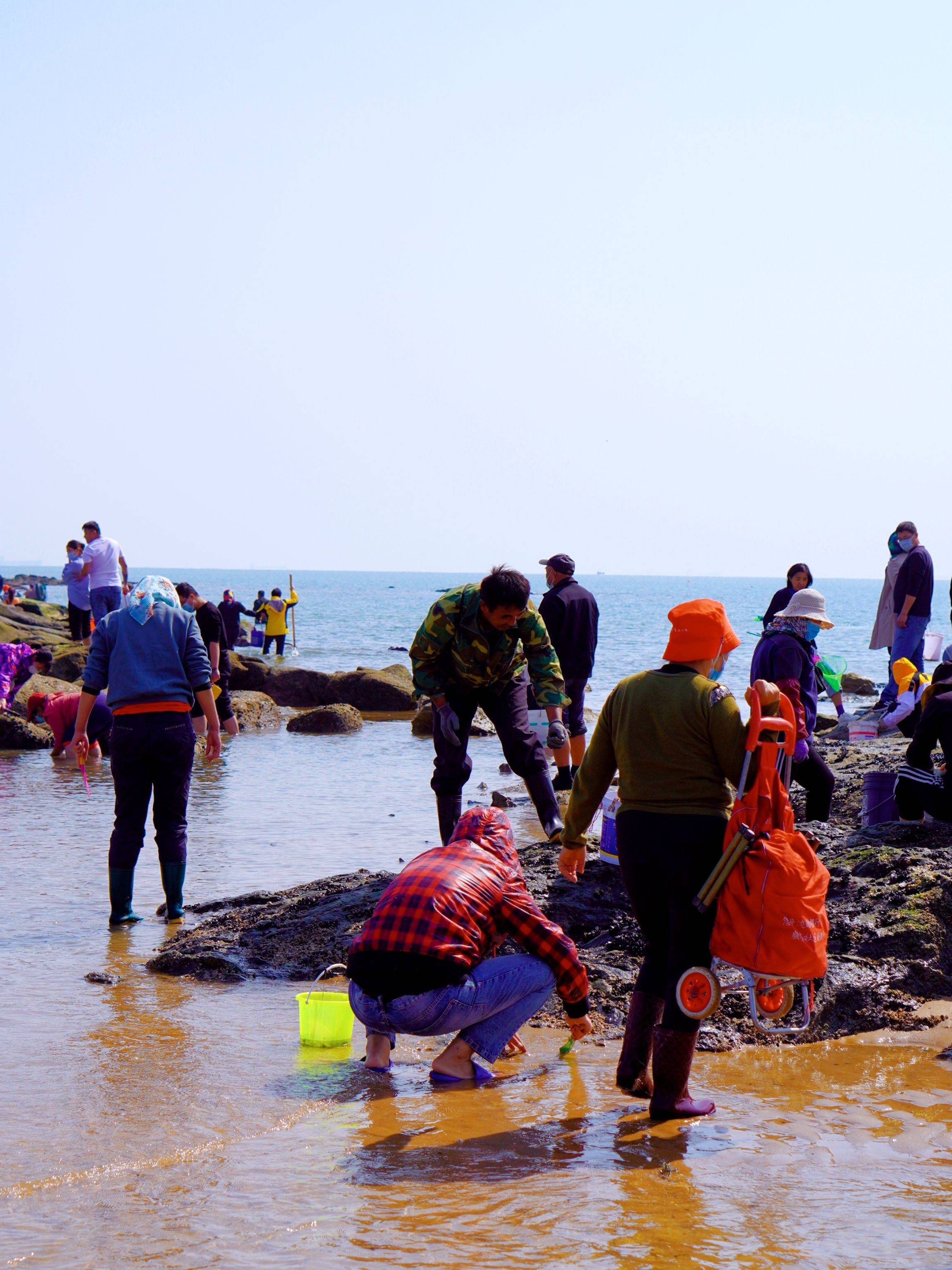 日照赶海不完全建议,听劝_收费_加工_地方