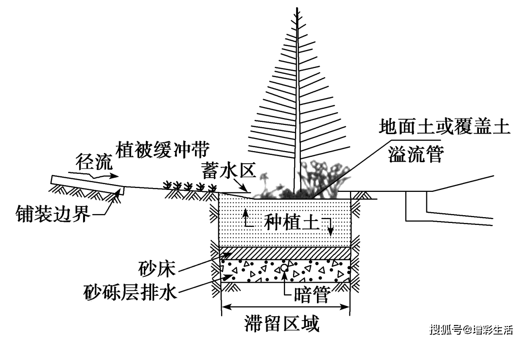 雨水花园是自然形成或人工挖掘的种有灌木,花草,树木等植物的浅凹绿地