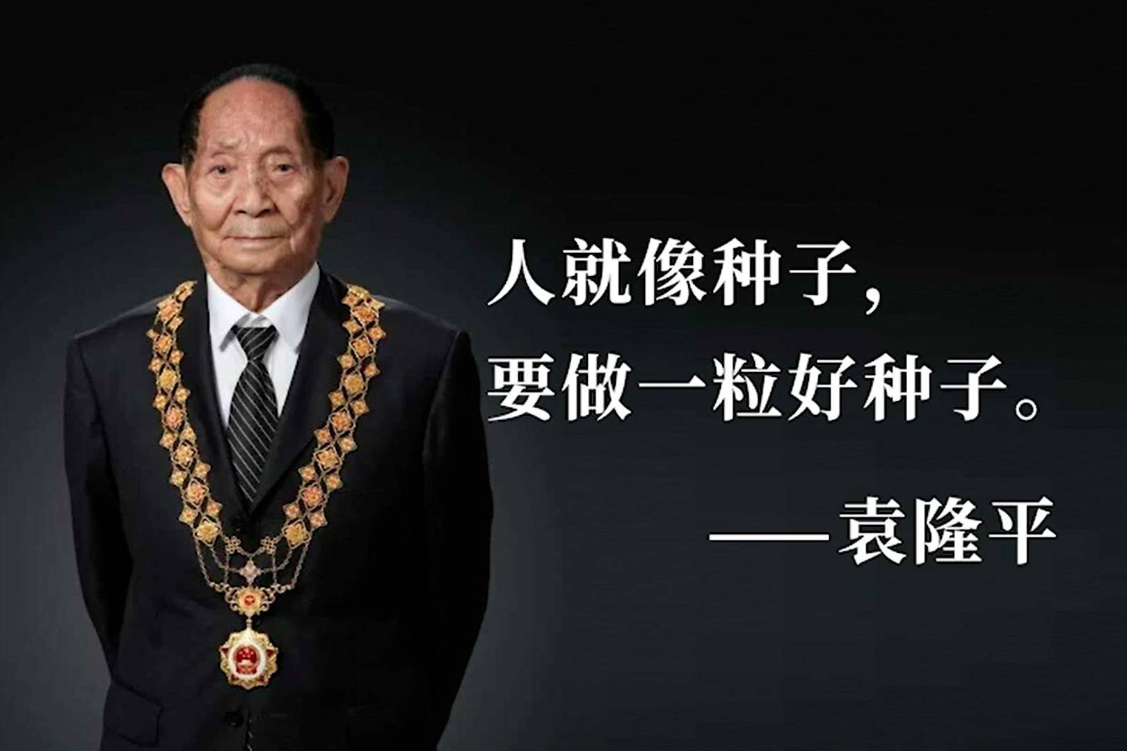 深切怀念,袁隆平院士逝世两周年丨一稻济世,万家粮足._中国_人民_先生