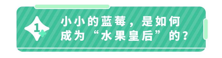 蓝莓的功效与作用禁忌人群 蓝莓如何挑选(附怎么洗才干净)