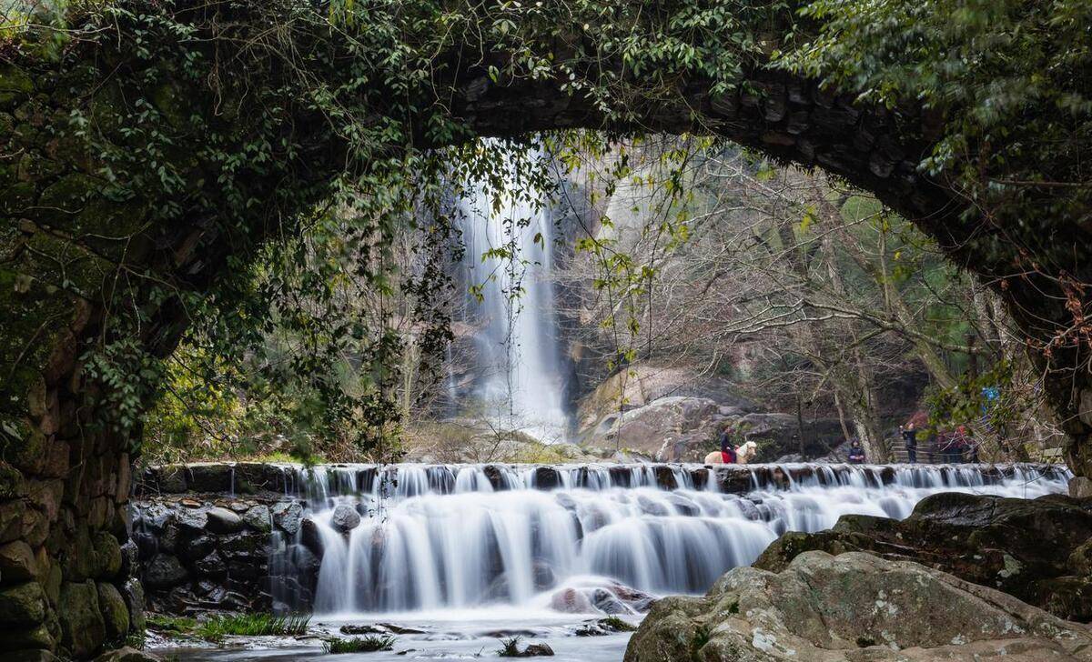 4. 华顶景区华顶峰是天台山的主峰,华顶寺游人如织,香火鼎盛.