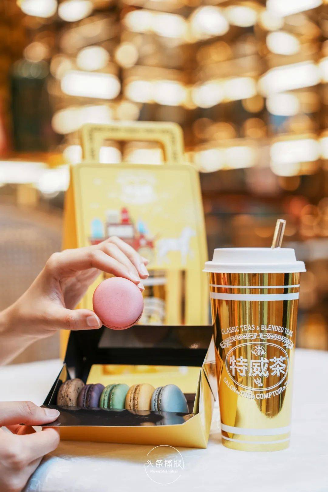 风靡狮城的【外带茗茶】,特威茶大陆首家概念店登陆魔都!