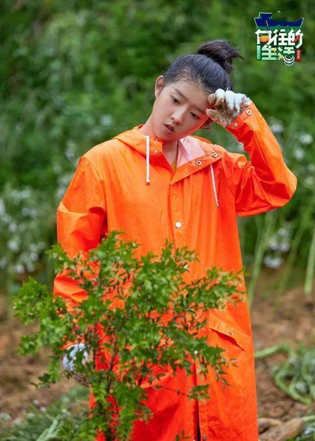 《向往的生活》看人下菜碟?