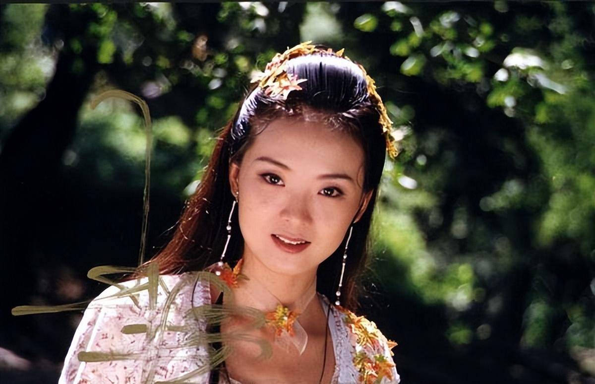 康姨妈,二十年前人气不输赵丽颖,《武林外史》女一_沈浪_白飞飞_电视