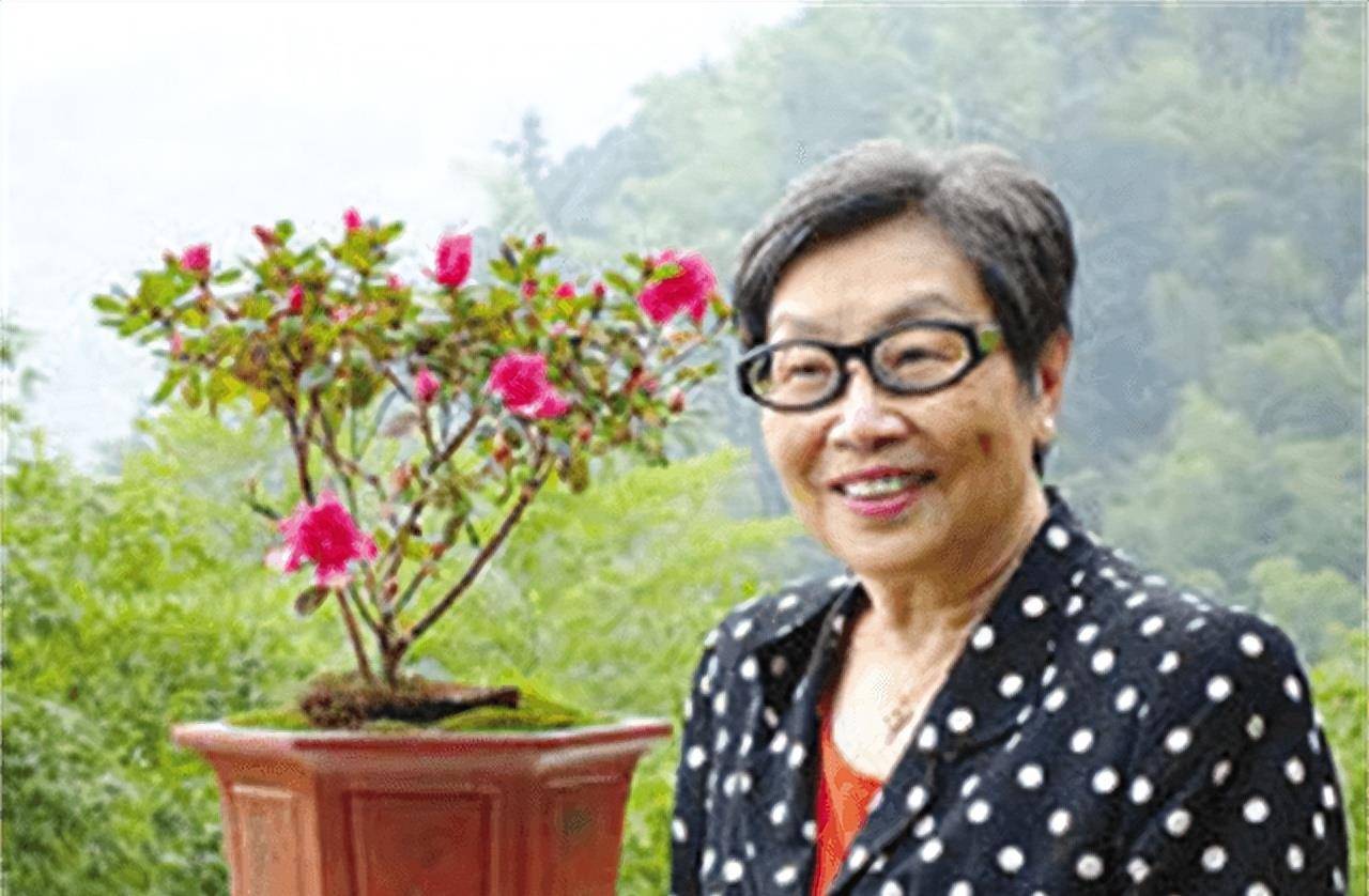杜月笙走向衰落后,烧毁手中所有欠条,叮嘱不让子孙走