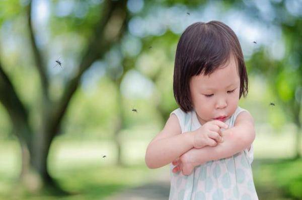 宝宝被蚊子咬了怎么快速止痒和护理(附3种方法消肿止痒)