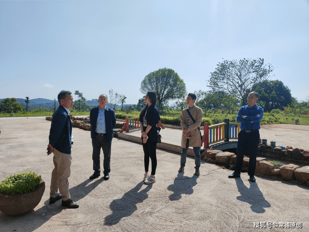 常德市文旅广体局党组副书记,副局长王陵书带领考评组一行,对临澧县太