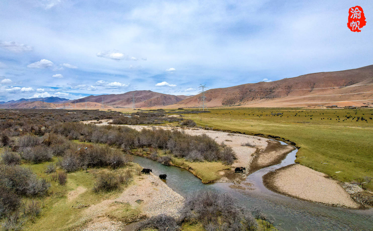 昌都之旅第四天:再游美玉大草原,雪山下碧草如茵牛羊成群,美如画卷