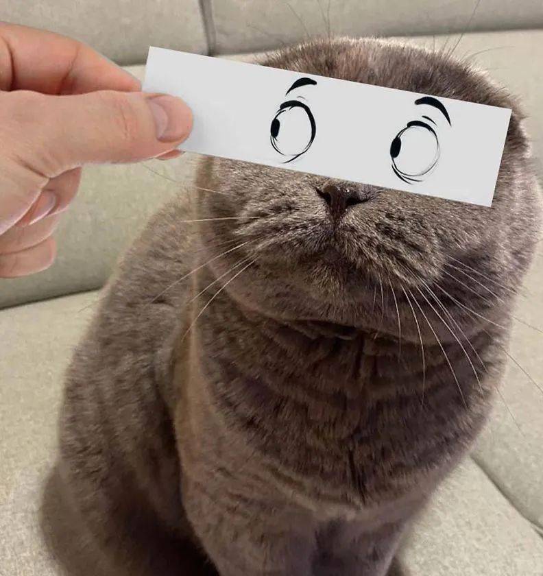 需要一点声音就可以做表情包,搞笑的气质是天生的_阿德里安_照片_眼睛