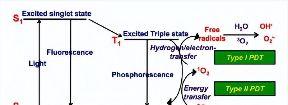 光動力治療及其光誘導電子轉移機制在光敏染料中的應用_過程_分子