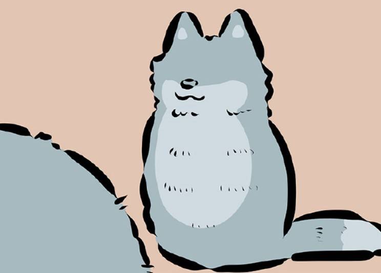 万圣街:宠物换毛季的痛谁能懂?