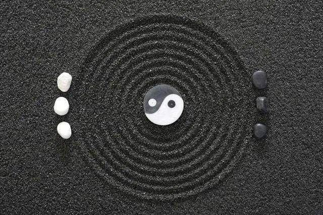 太极阴阳:"天人合一"的人体结构与功能模式(附图解)_升降_使其_阴中之