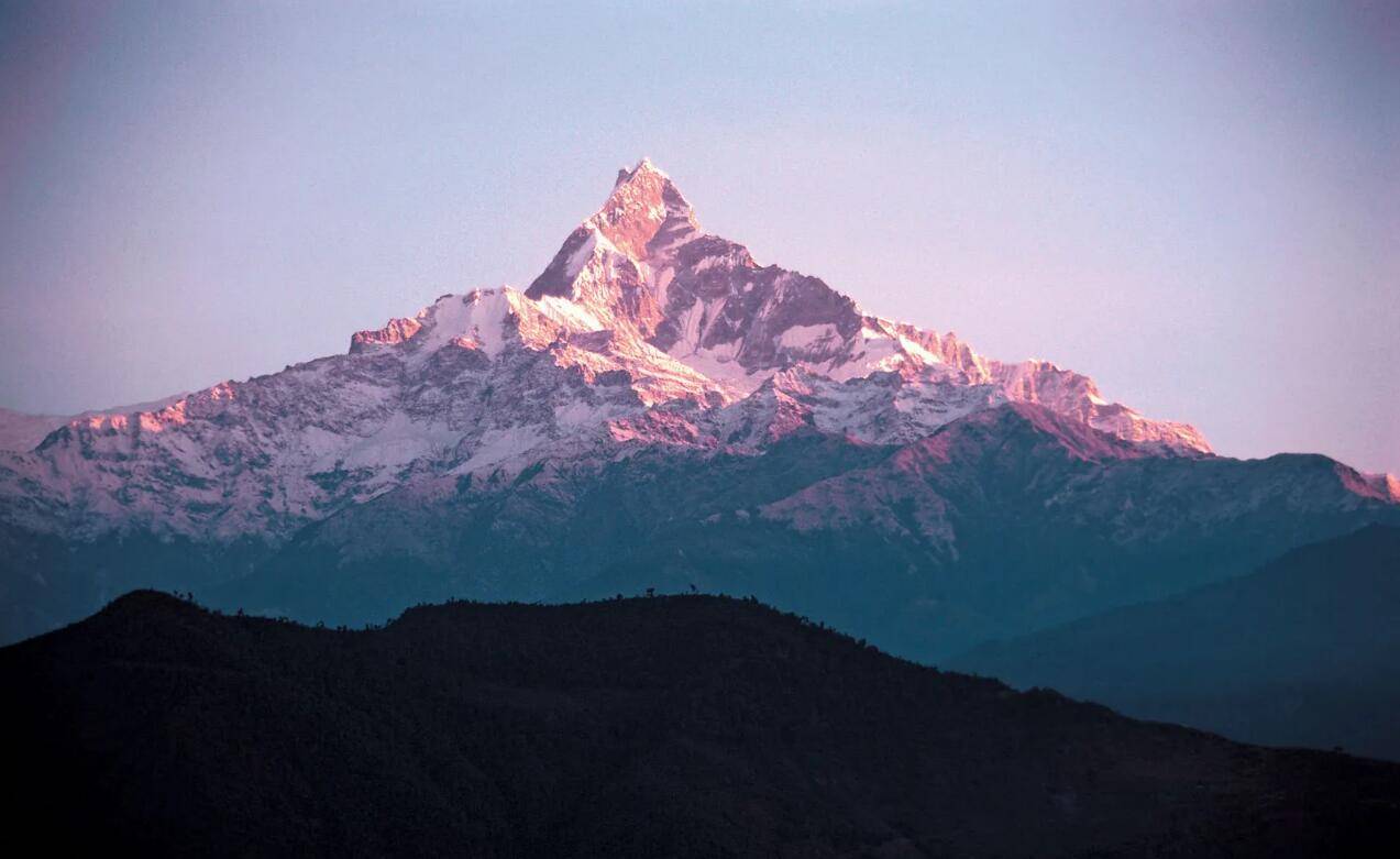 探秘:喜马拉雅山脉的动物