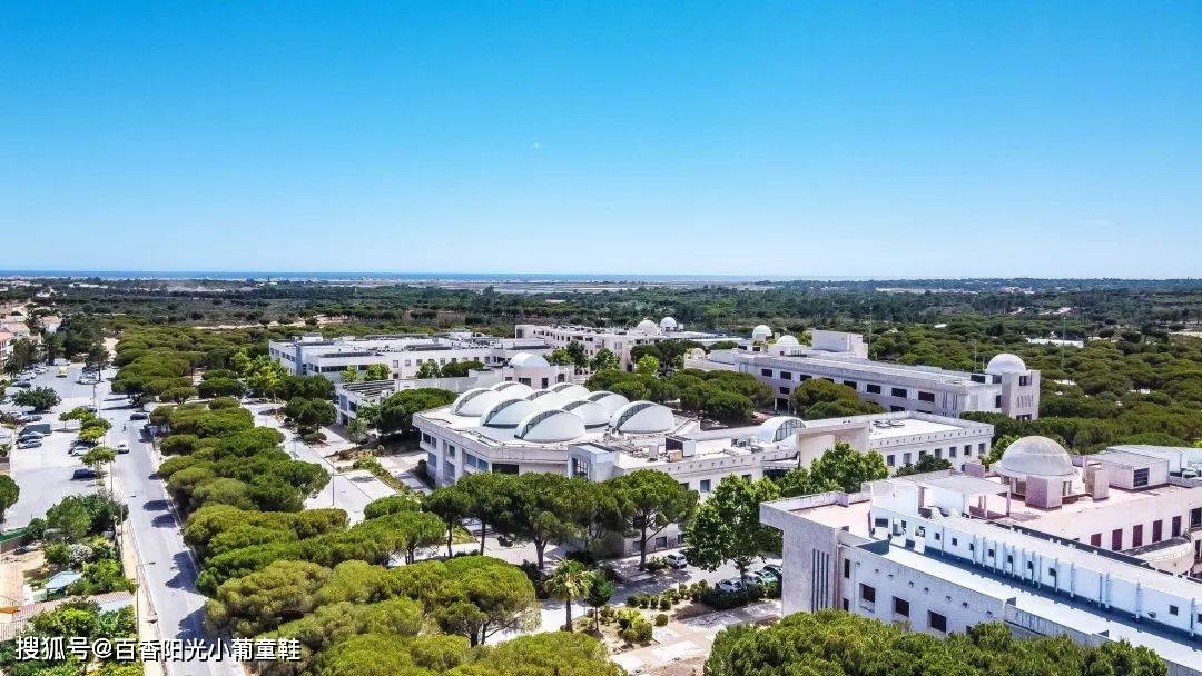 美丽海滨城市的阿尔加维大学介绍来啦!_管理_课程_国际