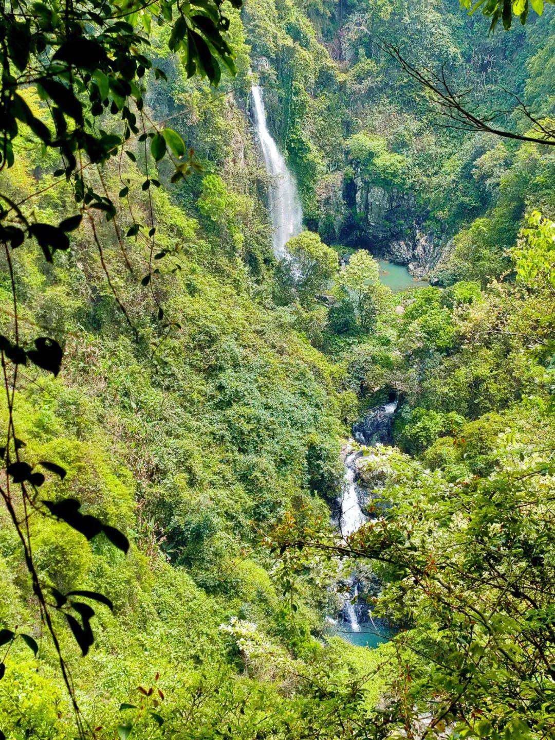 霞浦这个地方藏着一处绝美瀑布,你知道吗?_山谷_金山村_青山