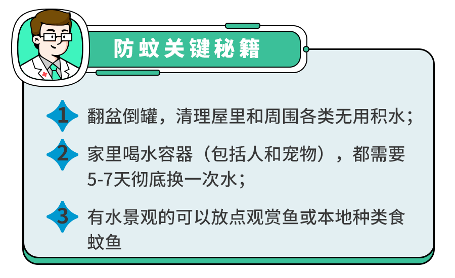 登革热与流感有什么区别？