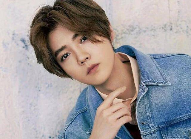 曾经签约了著名经纪人杨天真的公司——壹心娱乐,杨天真给到鹿晗的