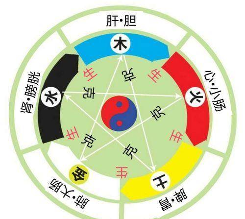 中医建议多练习五行太极养生功_障碍_机体_女性